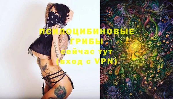 амф Бугульма