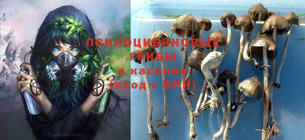 не бодяженный Богородицк