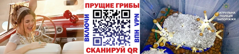 Псилоцибиновые грибы GOLDEN TEACHER  Самара 
